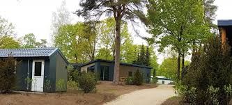 bosgraaf